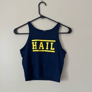 UMich Hail Tank